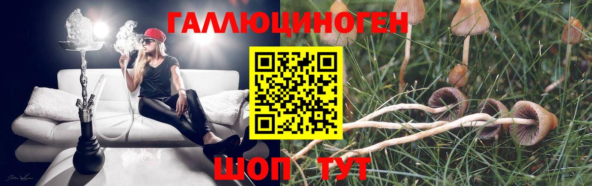Псилоцибиновые грибы ЛСД Спасск-Дальний